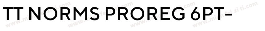 TT NORMS PROREG 6PT字体转换
